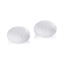 White Urchin Salt & Pepper Set of 2