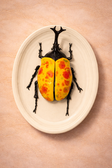 Hanging Beetles