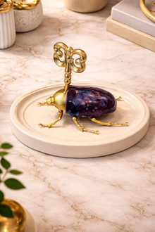 Key Beetle Purple