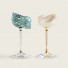 Maris Seashell Cocktail Glasses, Set of 4