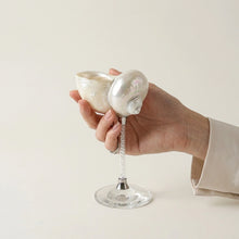 Maris Seashell Cocktail Glasses, Set of 4