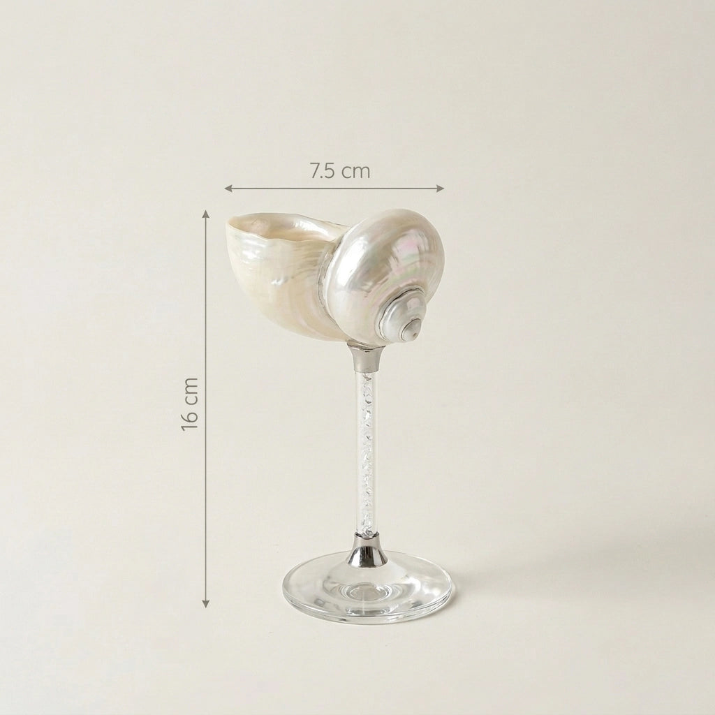 Maris Seashell Cocktail Glasses, Set of 4