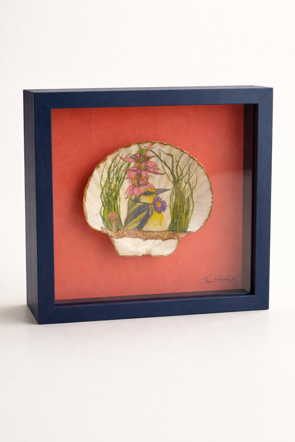 Coral Aviary Shell Shadow Box