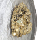 Oyster Overture Sconce Chandelier