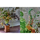 Home in Bloom