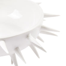 White Spine Medium Bowl